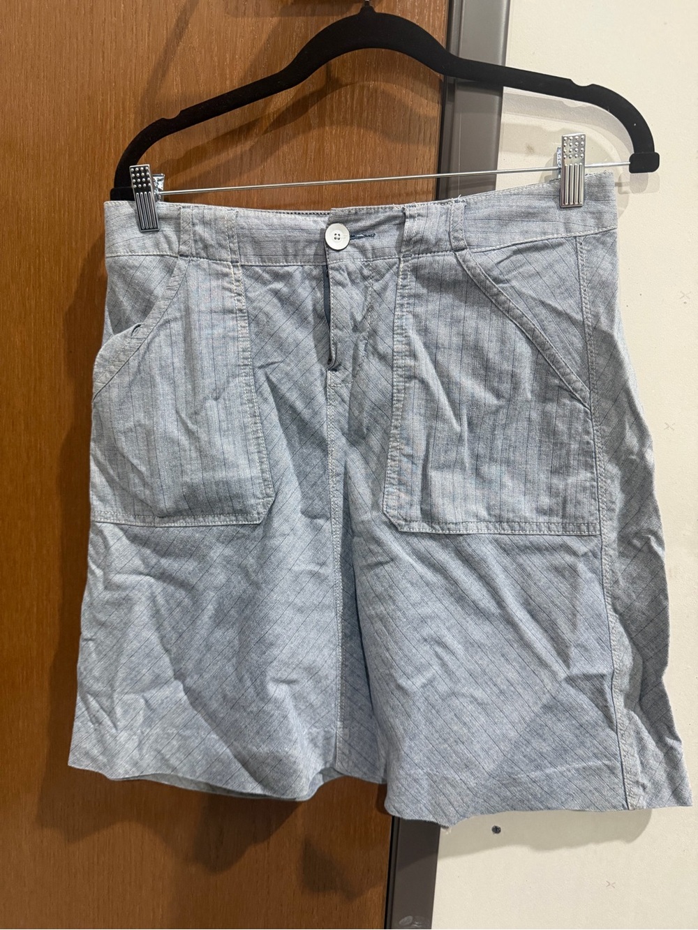 Eddie Bauer Light Blue Men's Casual Flat-Front Shorts